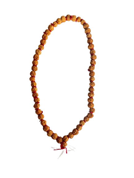 Rudrakhsha Mala - Beads